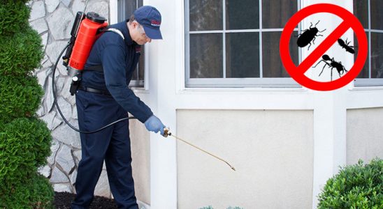 Çorlu Hamam Böceği İlaçlama böcek ilaçlama ve haşere kontrolü — ilaclama-tr.com